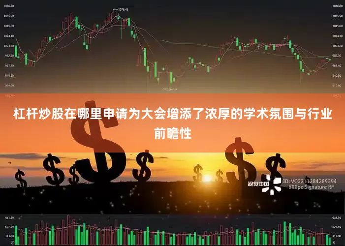 杠杆炒股在哪里申请为大会增添了浓厚的学术氛围与行业前瞻性