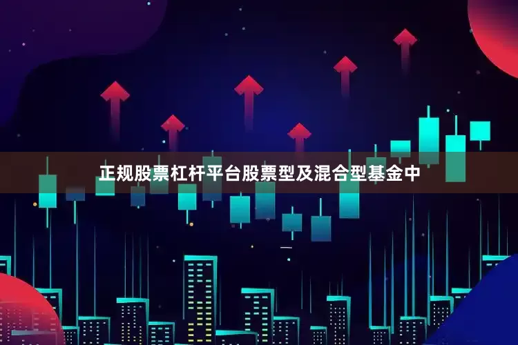 正规股票杠杆平台股票型及混合型基金中